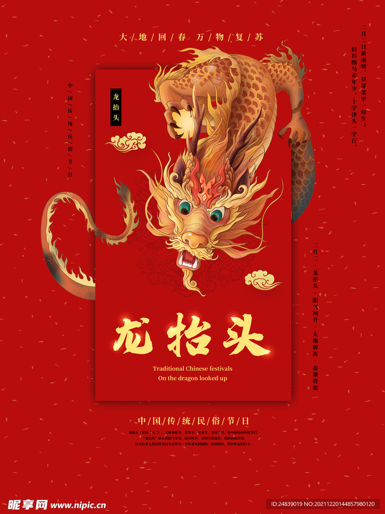 中国龙 龙抬头 二月二 中国风