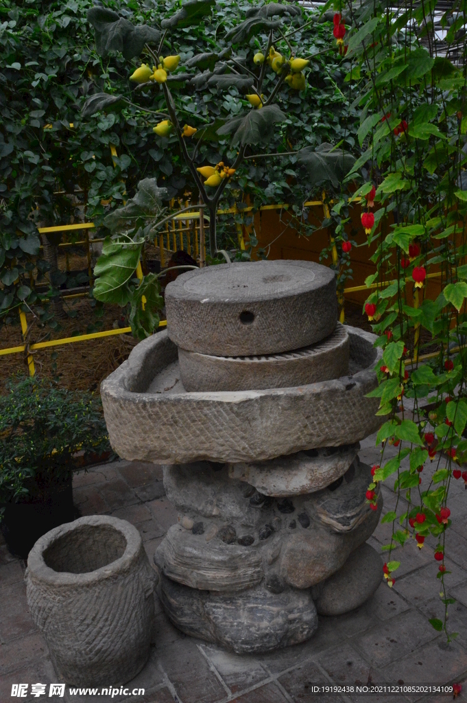 温室花草风景 