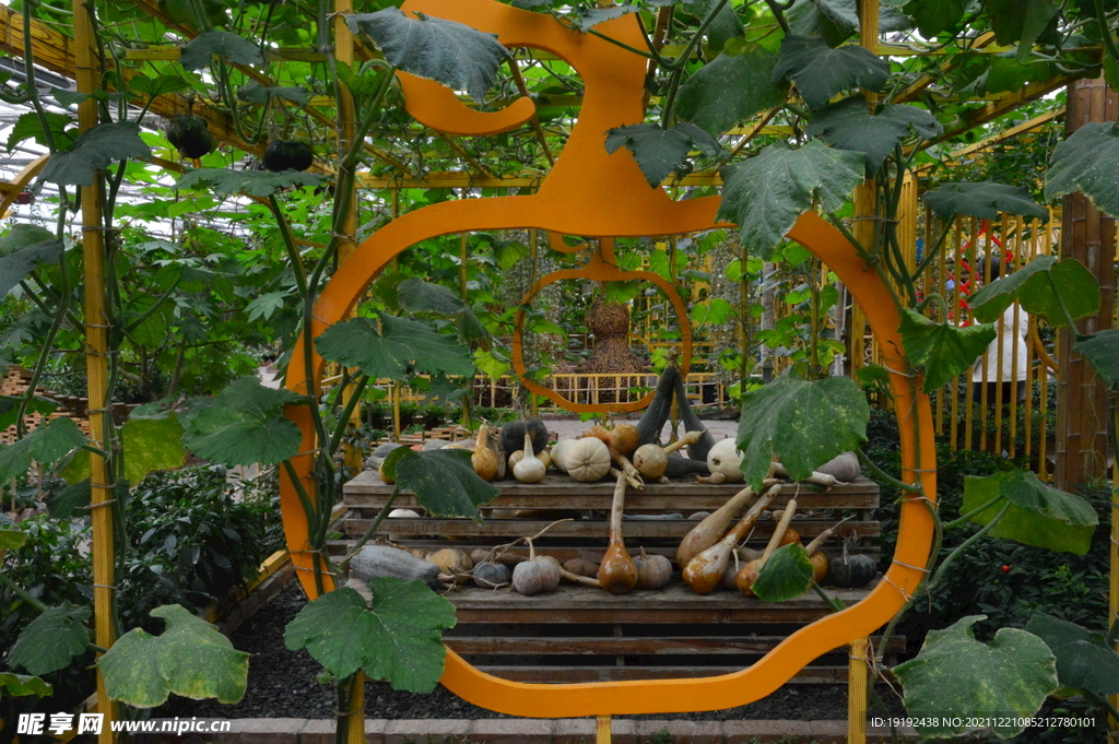 温室花草风景 