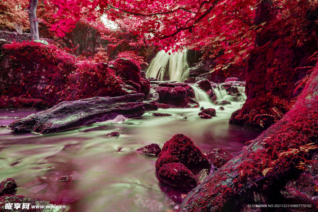 美景