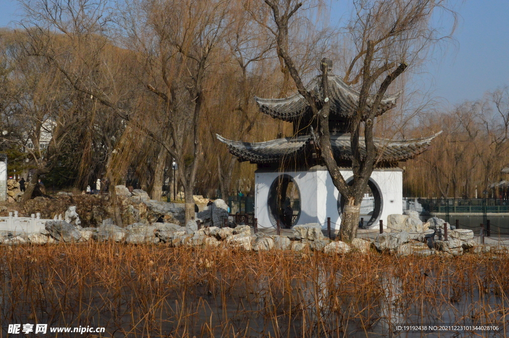 公园风景 