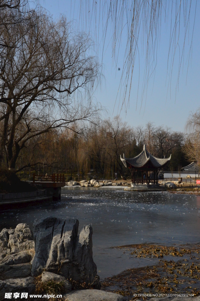公园风景