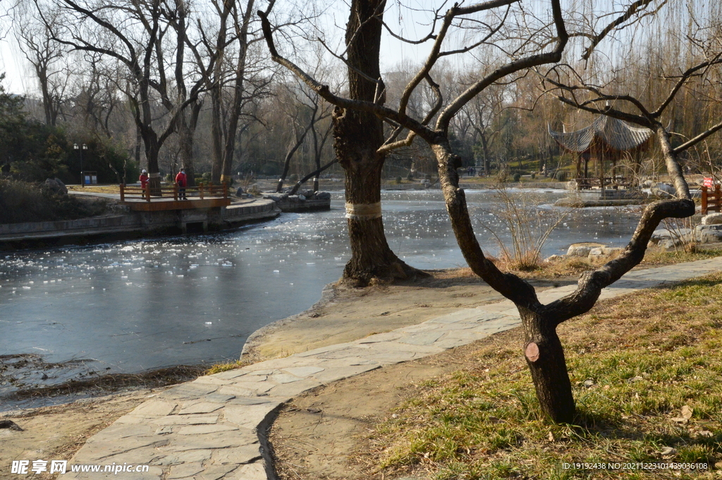 公园风景 
