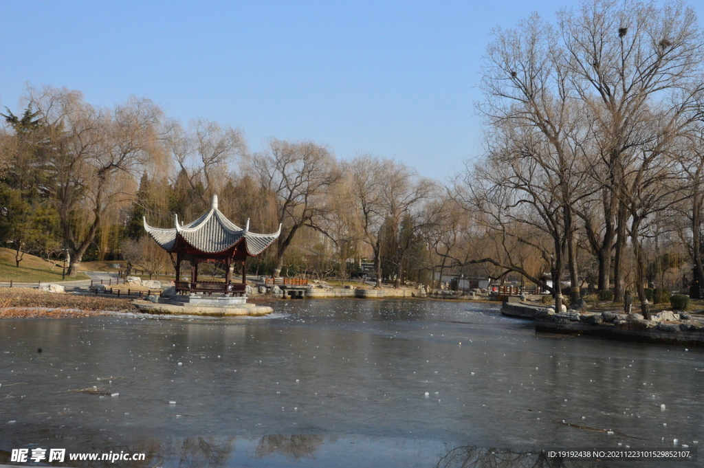 公园风景