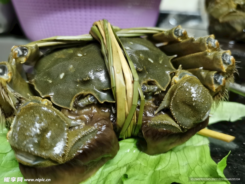 大闸蟹