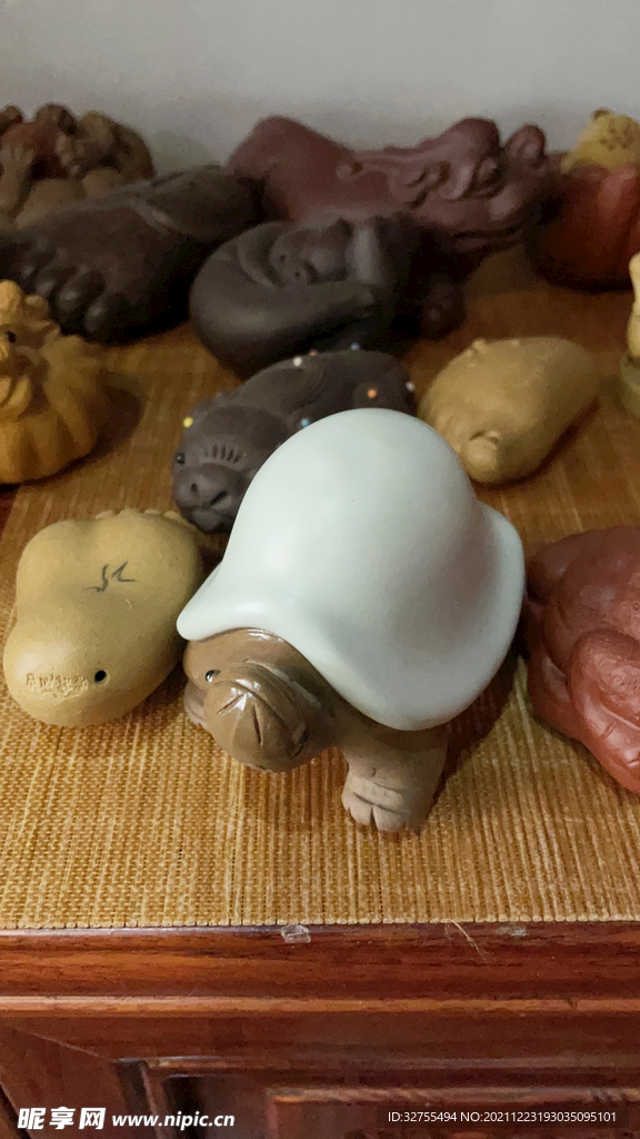 茶宠 龟