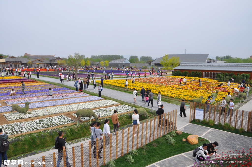 北京世园会花田景观