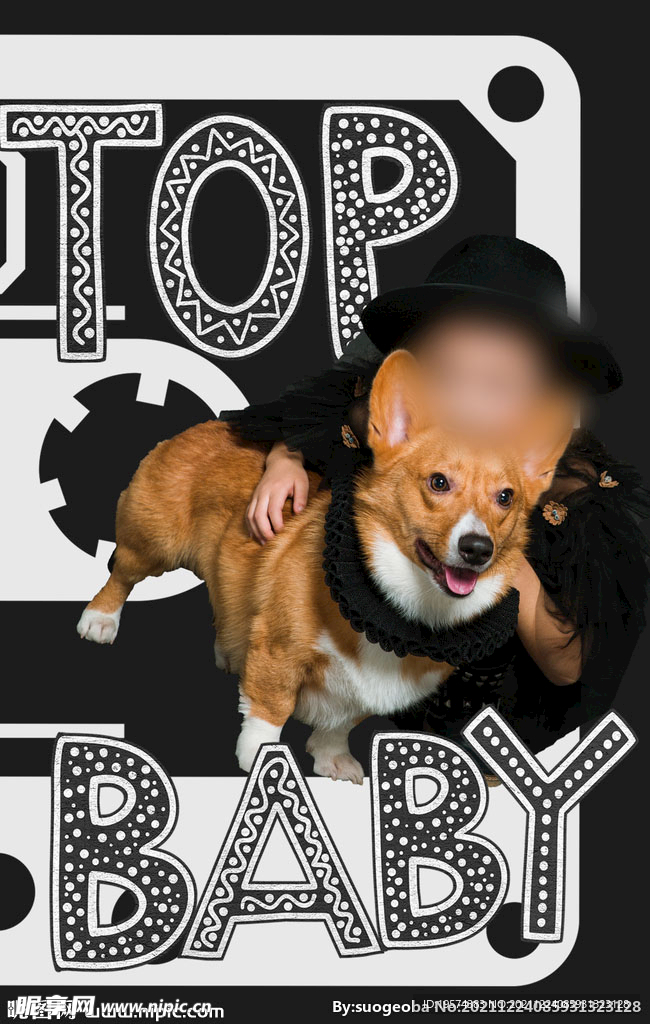 儿童写真相册字体文字排版杂志风