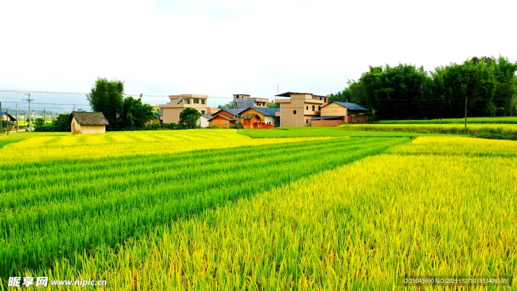 田园风光