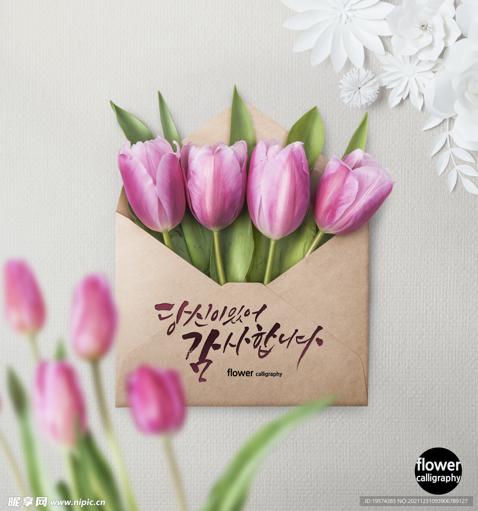 贺卡明信片卡片元素