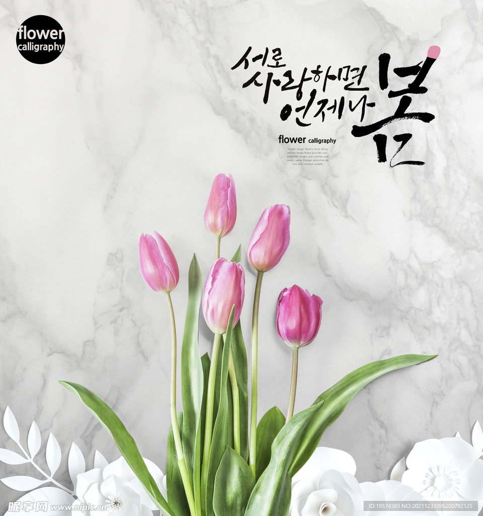 贺卡明信片卡片元素