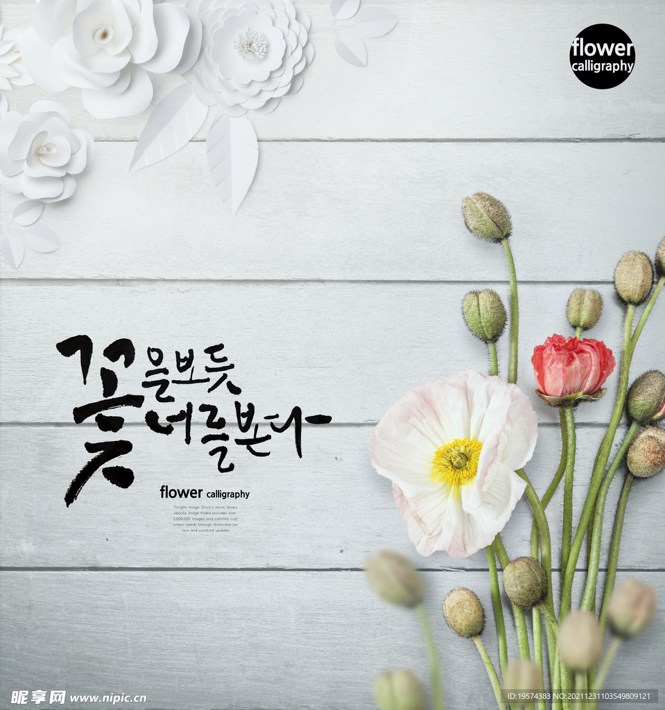 贺卡明信片卡片元素