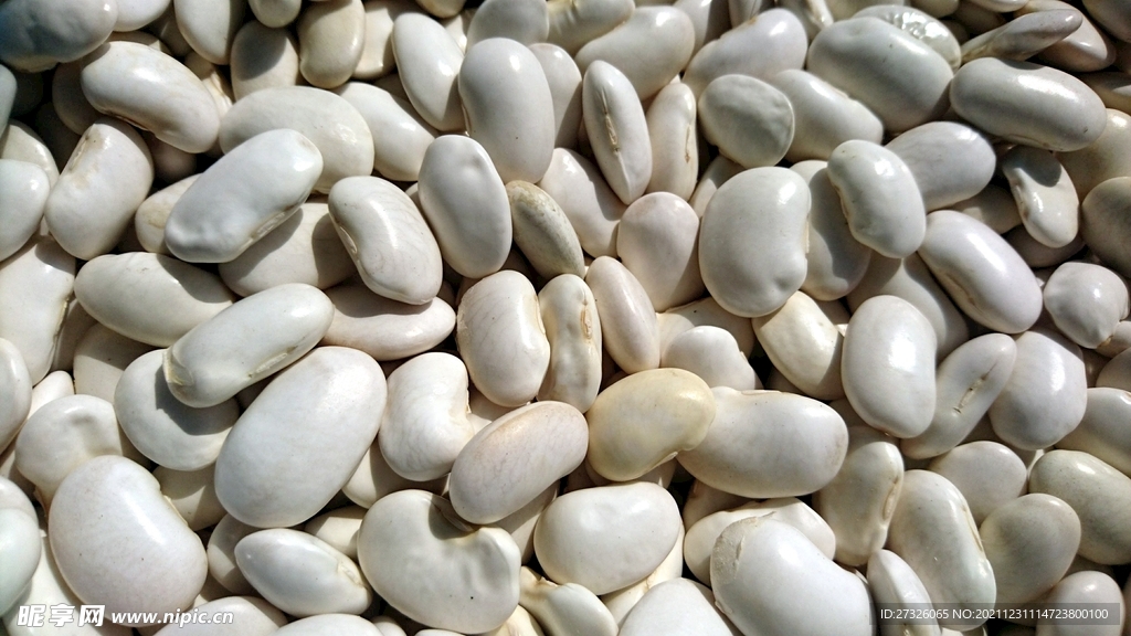 豆子