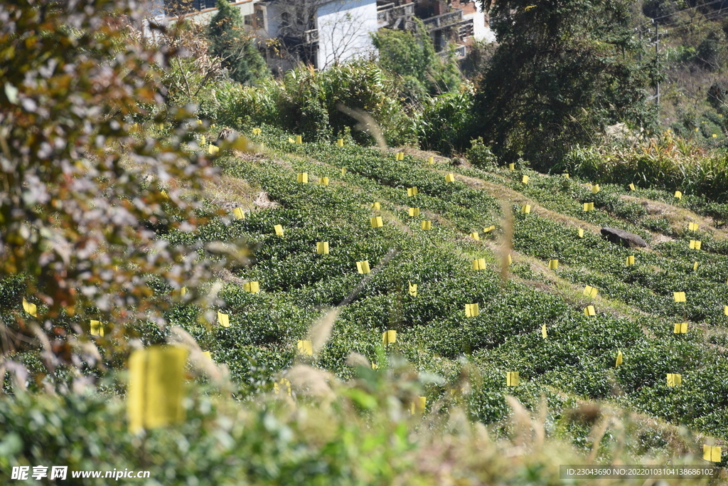 大自然风景