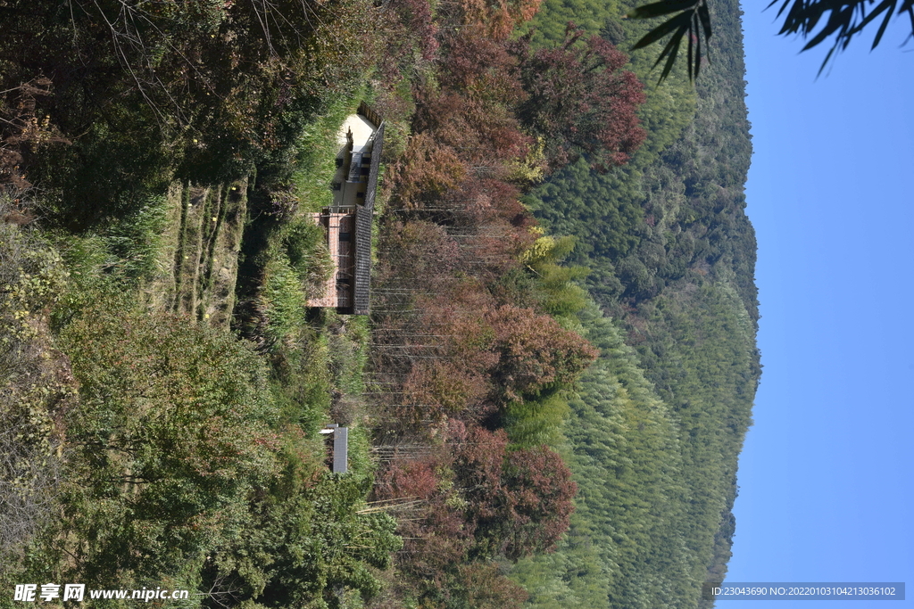 乡村景观