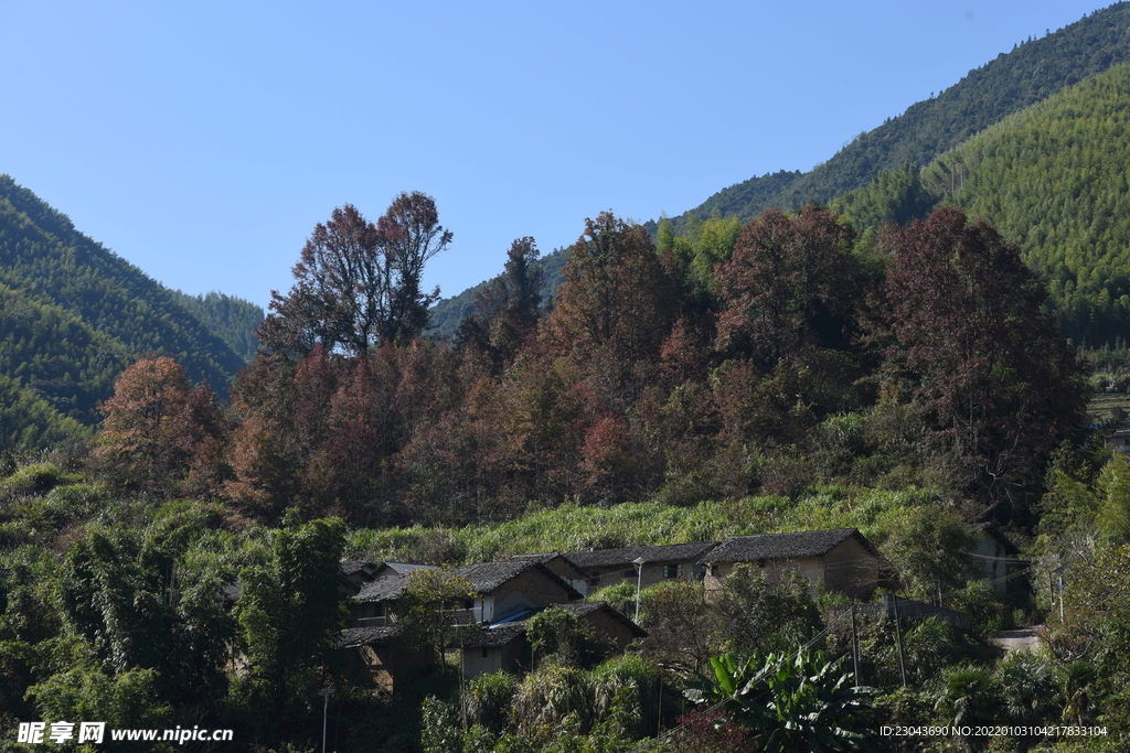 乡村景观
