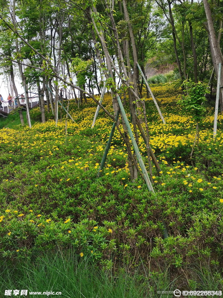 成都植物园