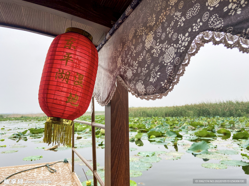 东平湖湿地 游船