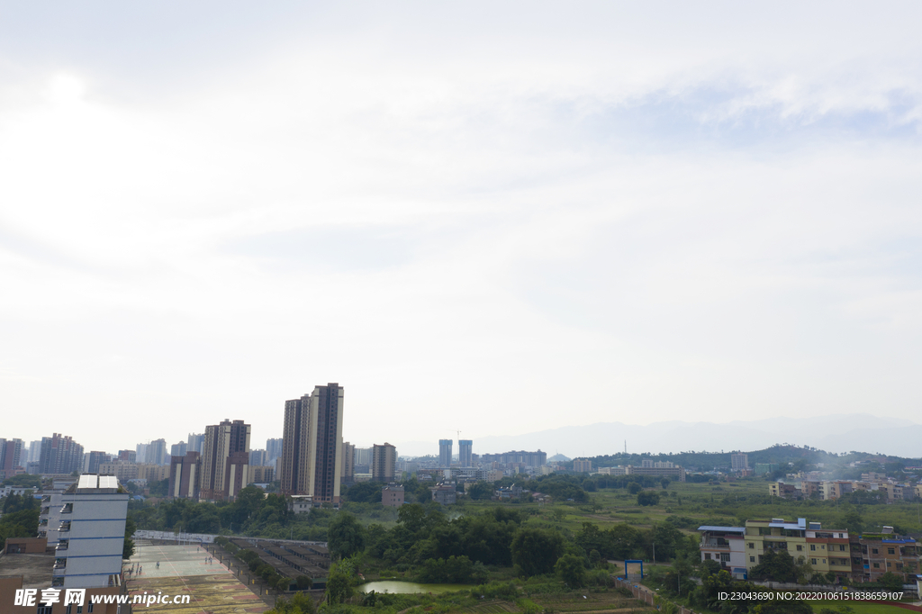 学校