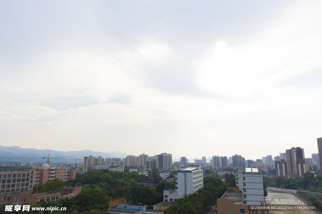 学校