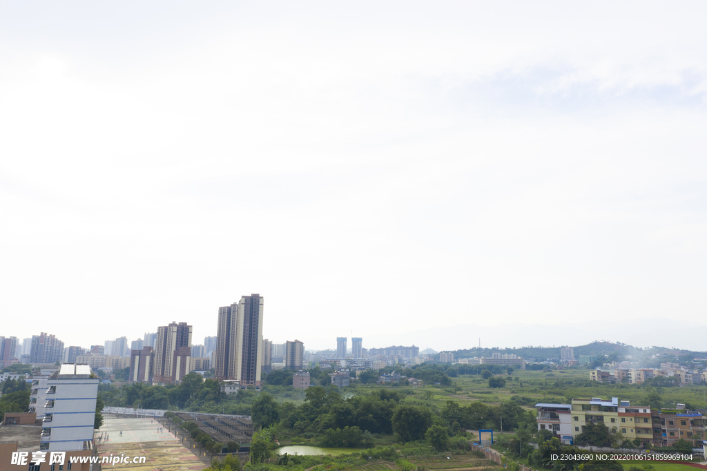 学校