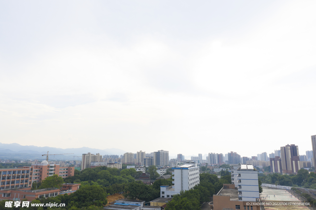 学校