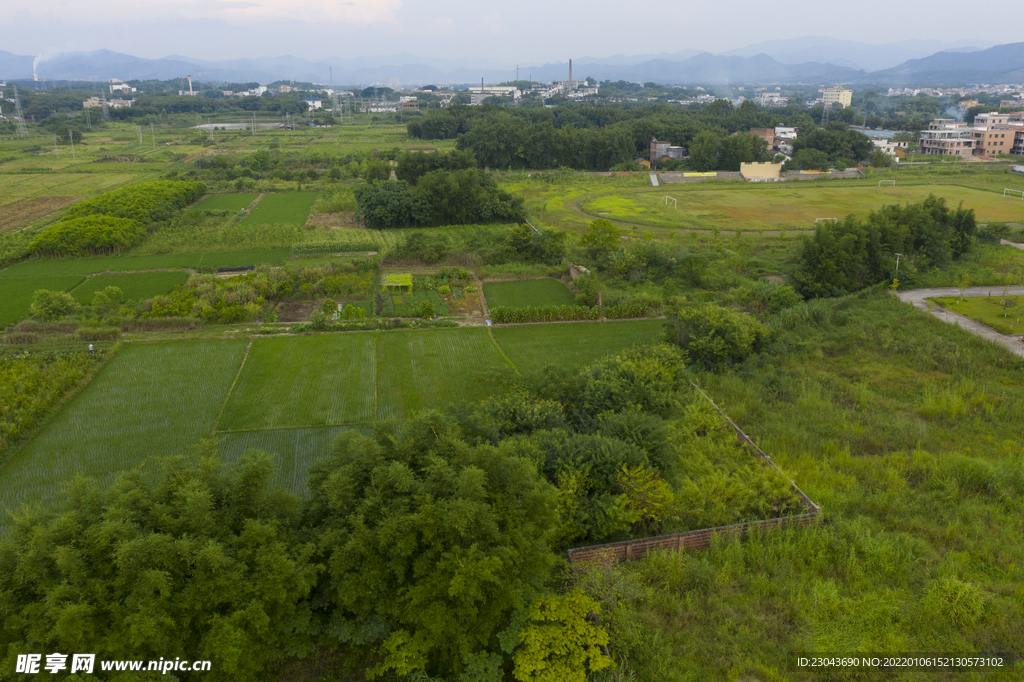 风景