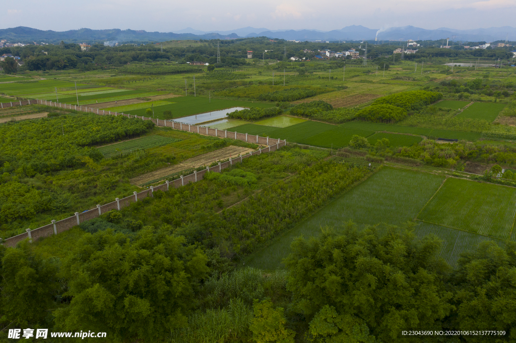 风景
