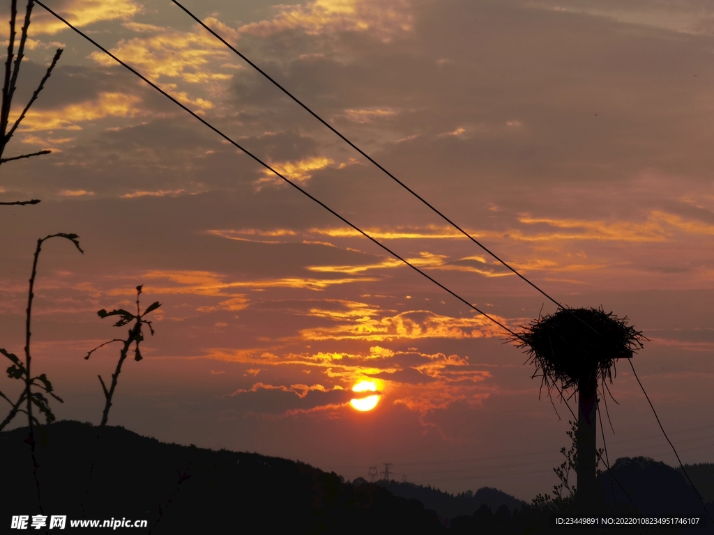 夕阳  鸟巢
