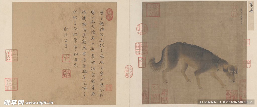 猎犬