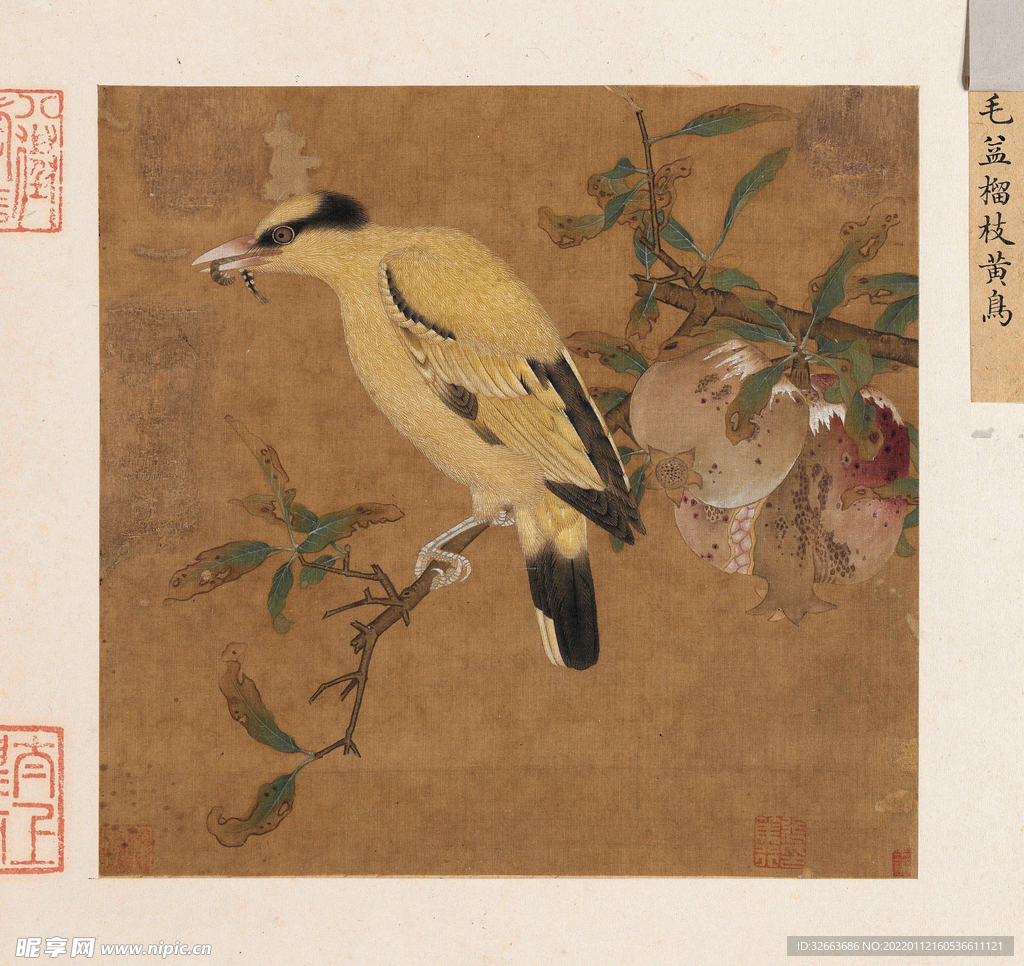 榴枝黄鸟