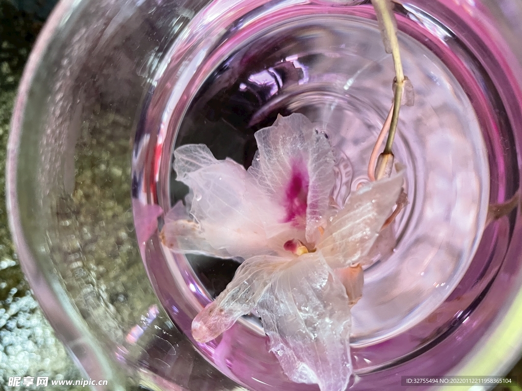 石斛花