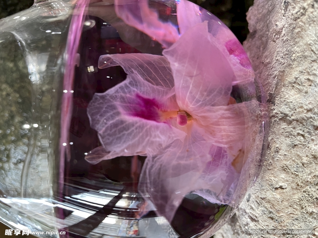 石斛花