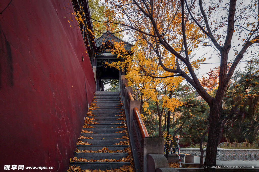 禅院寺庙