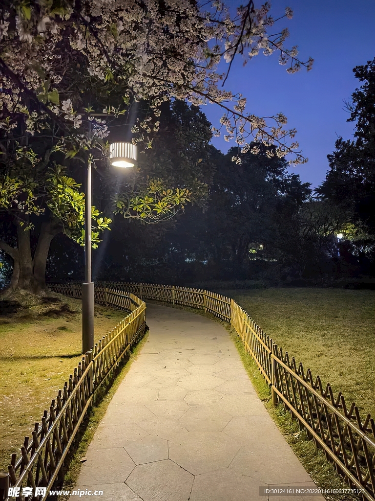 乡间小路