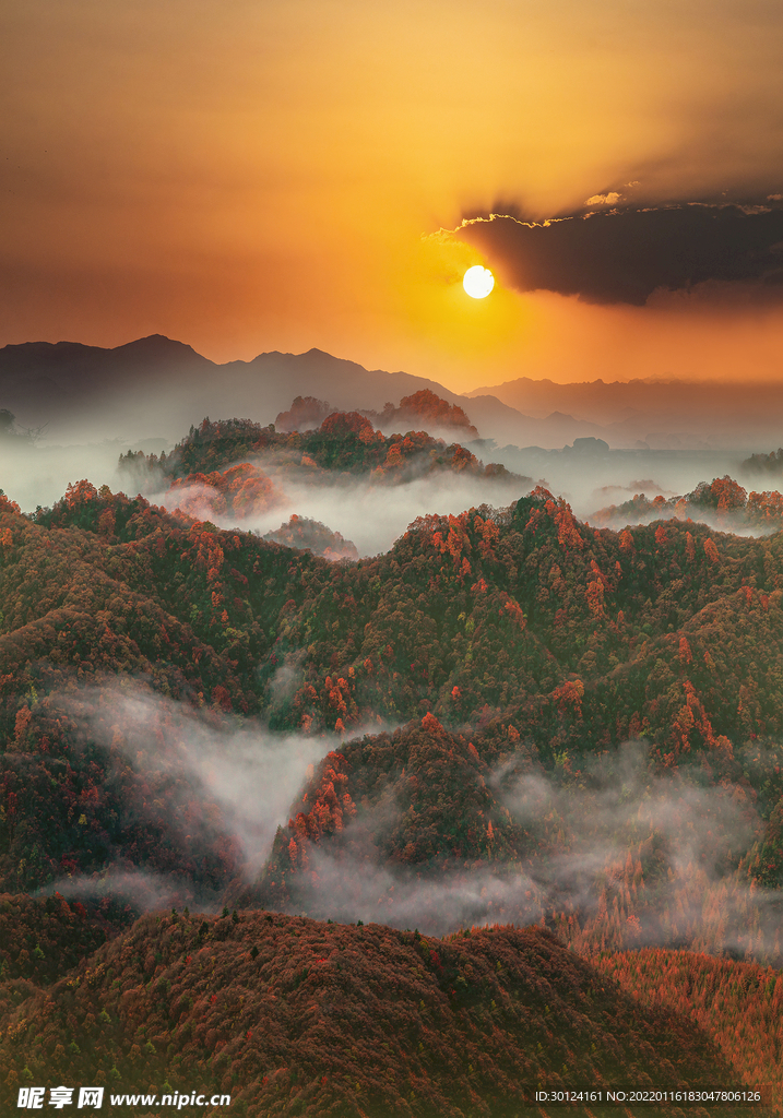 山