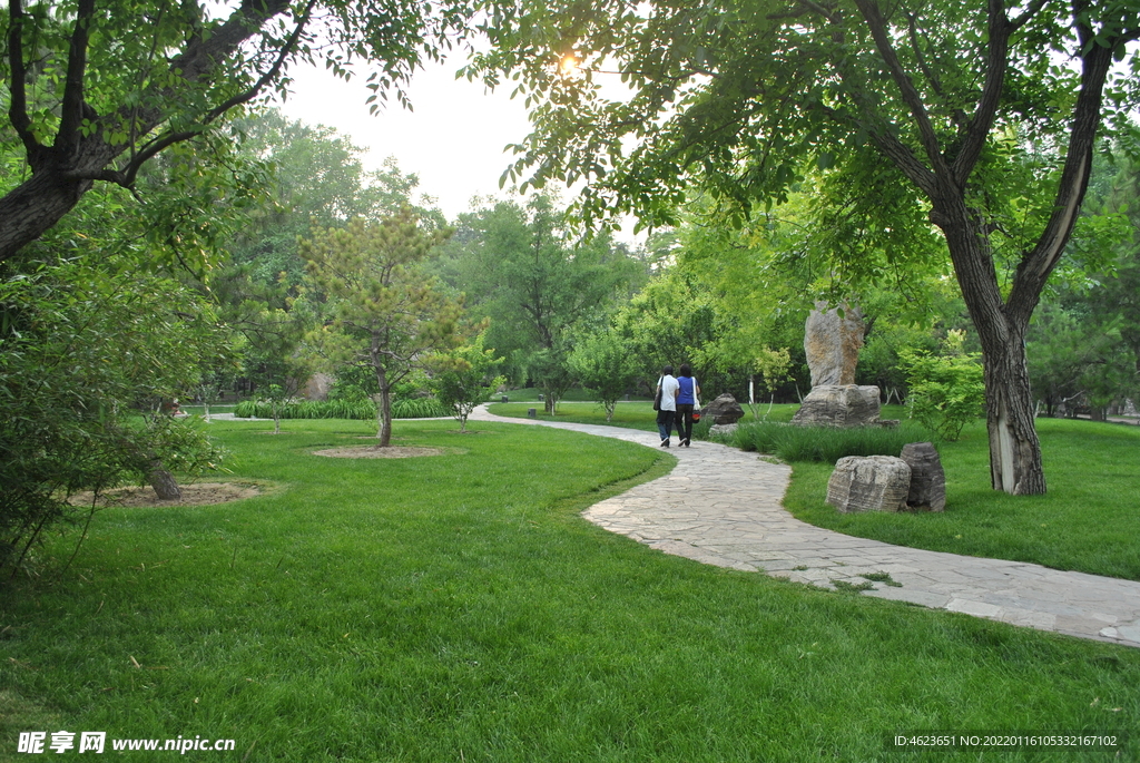 龙潭公园植物景观