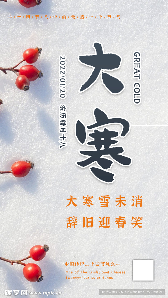 二十四节气大寒海报