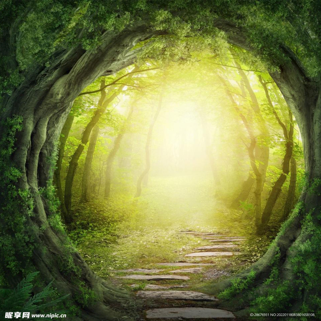 森林石板小路