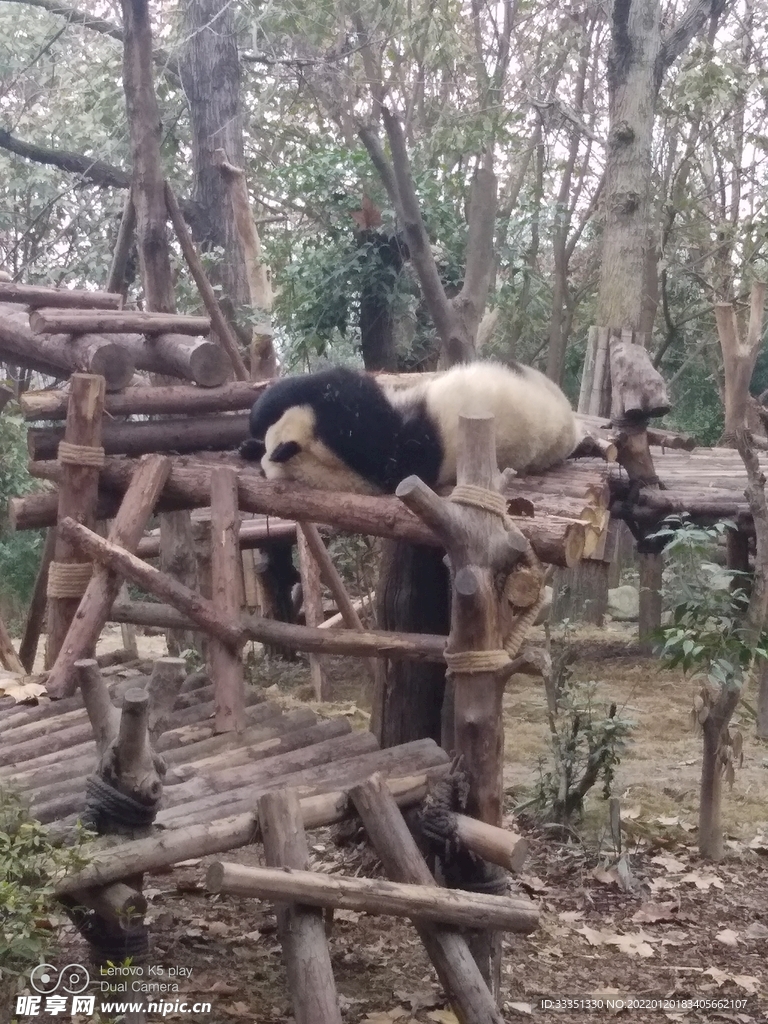 成都熊猫基地