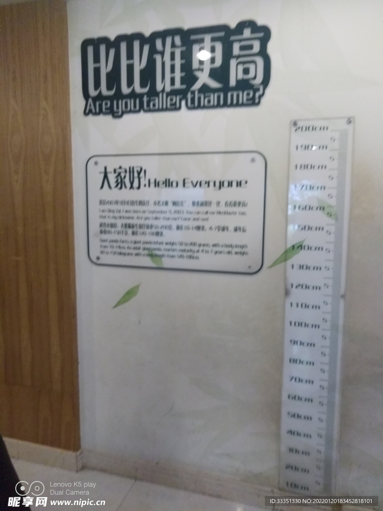  成都熊猫基地