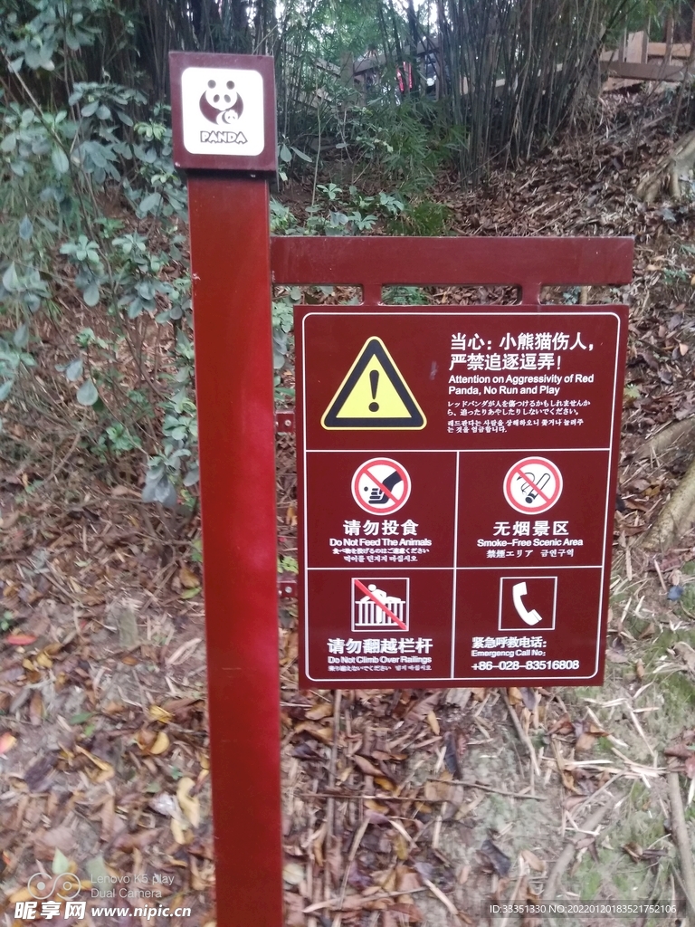 熊猫基地指示牌