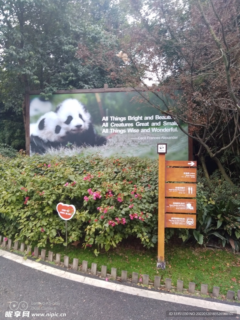  成都熊猫基地 