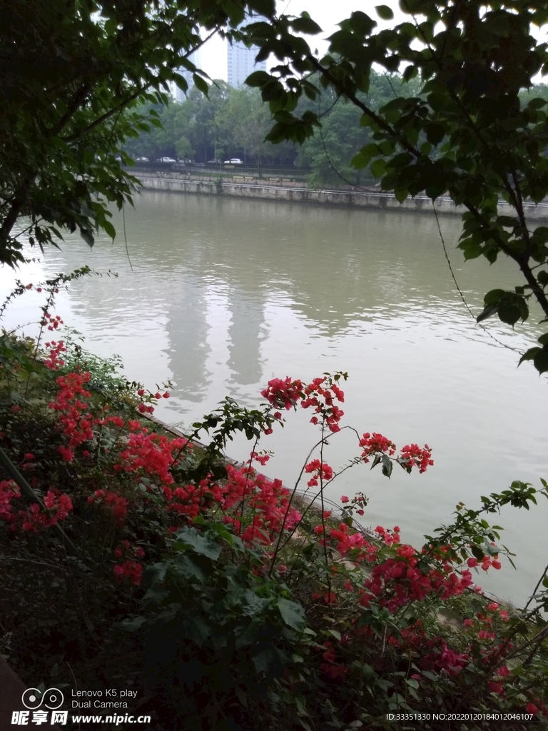望江公园 