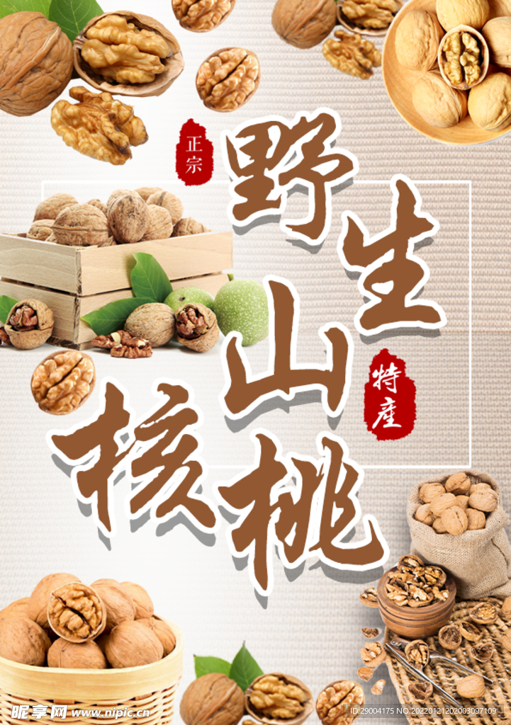 大姚核桃 长寿果