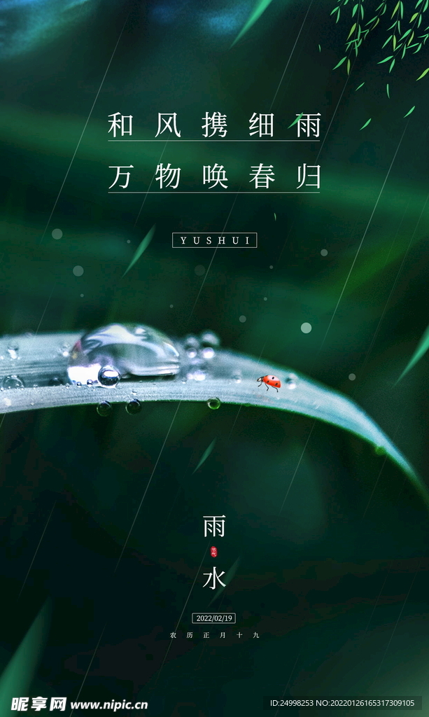 雨水 二十四节气