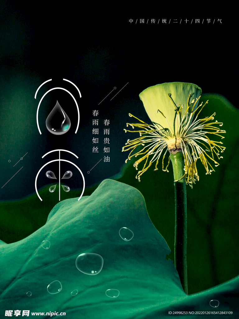 谷雨 二十四节气