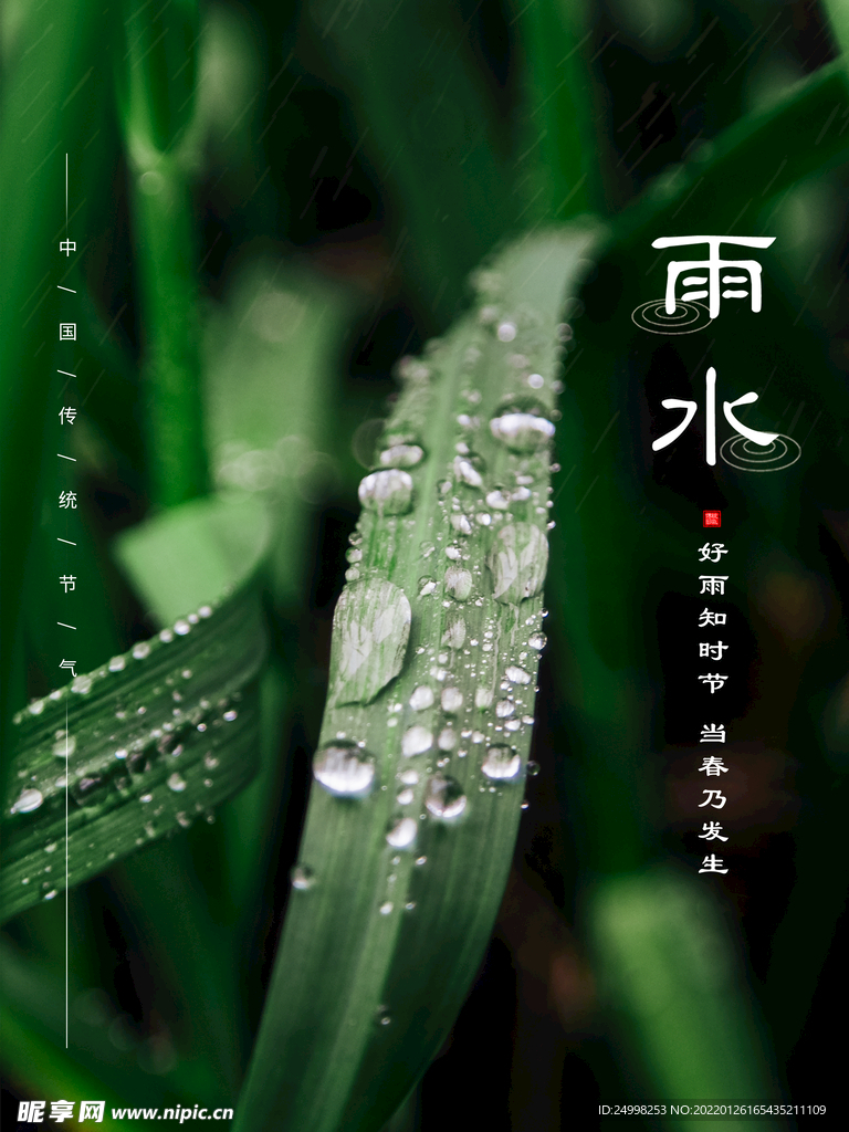雨水 二十四节气