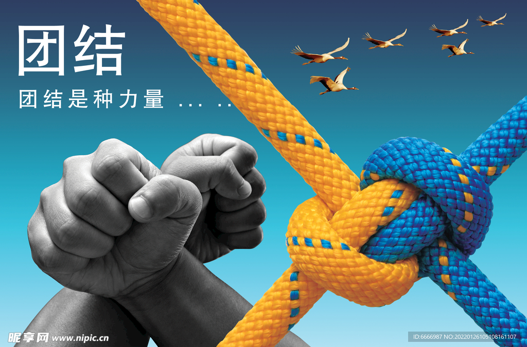 团结展板