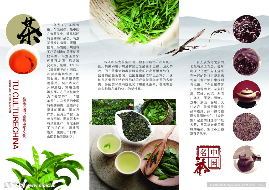 公司  三折页  宣传简介  